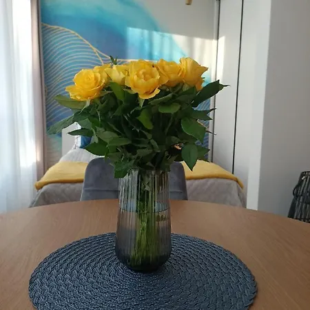 Maris - Srodmiescie - Klimatyzacja - Prywatny Parking アパート グディニャ